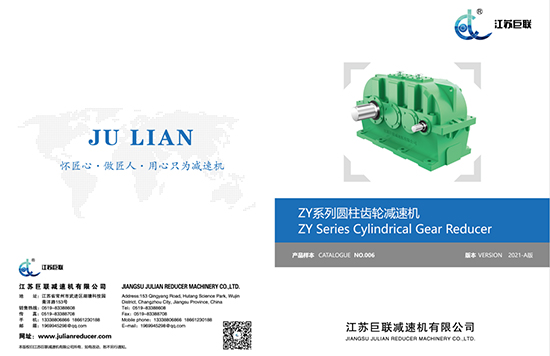 Jiangsu Julian Zy uzorak 2021